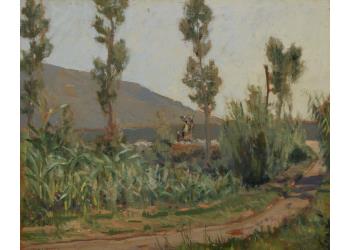 Veduta della campagna verso Camaiore Veduta della campagna verso Camaiore